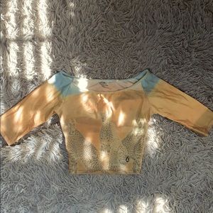 Cheetah portrait art Crop Top